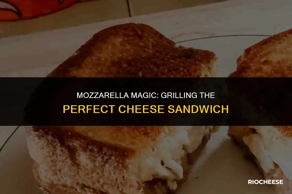 can you use mozzarella cheese to make grilled cheese aanwich