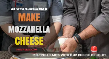 From Pasteurized Milk to Mozzarella: A Cheese Lover's Guide