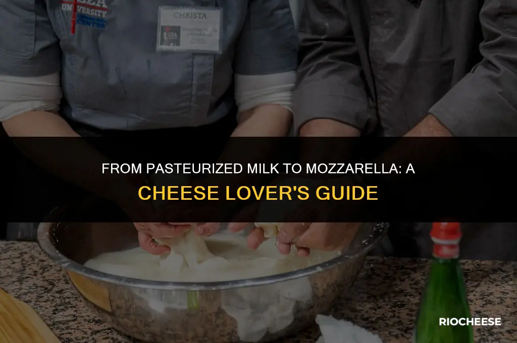 can you use pasteurized milk to make mozzarella cheese