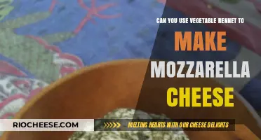 Exploring Mozzarella Making: The Role of Vegetable Rennet