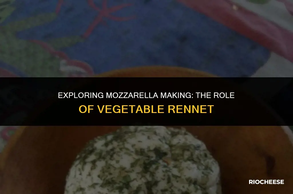 can you use vegetable rennet to make mozzarella cheese