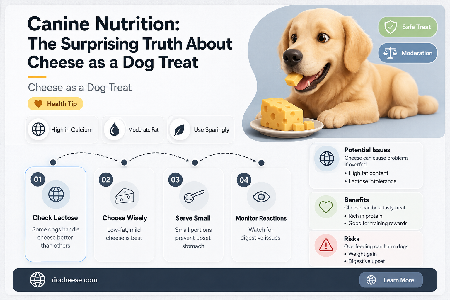 is cheese good for dog treats
