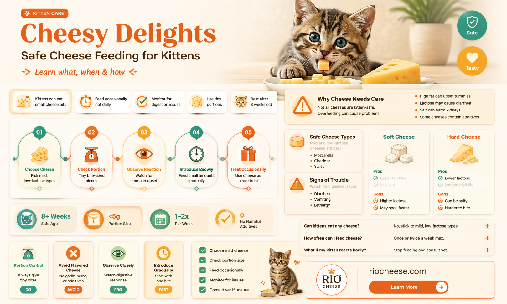 can you feed kittens cheese