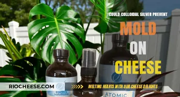 Exploring Colloidal Silver: A Natural Mold Inhibitor for Cheese?