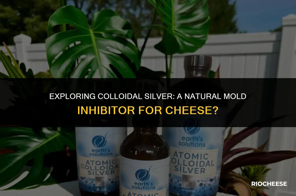 could colloidal silver prevent mold on cheese