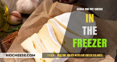 The Ultimate Guide to Freezing Cheese: Tips and Tricks