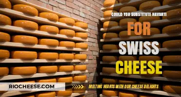 Exploring Cheese Alternatives: Havarti vs Swiss in Recipes