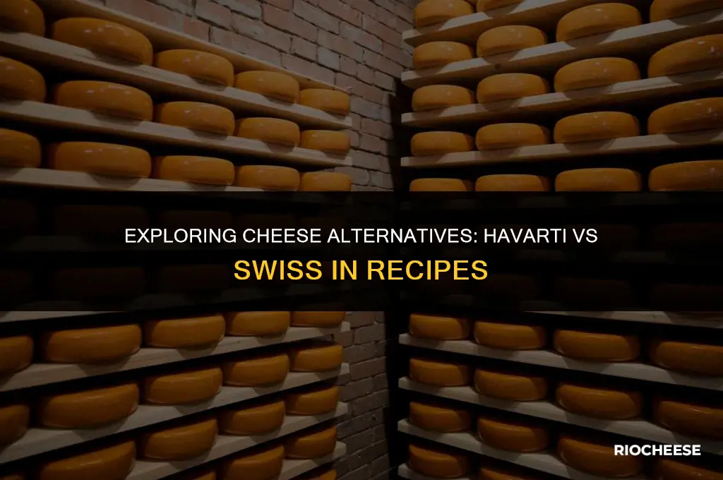 could you substitute havarti for swiss cheese