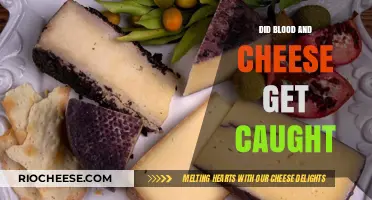 Caught Red-Handed: The Blood and Cheese Scandal Unfolds
