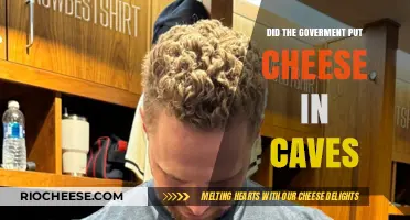 The Mystery of Cave Cheese: Government Secrets Unveiled