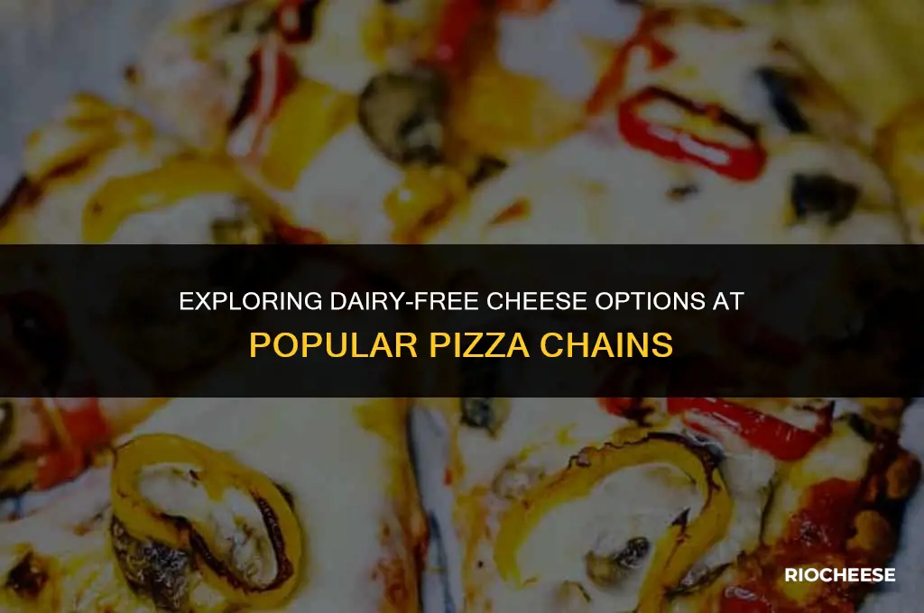 do any pizza companies offer a non-dairy cheese option