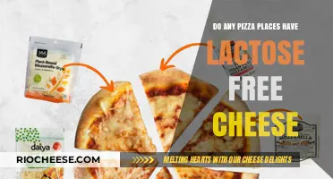 Exploring Lactose-Free Cheese Options at Your Favorite Pizza Spots