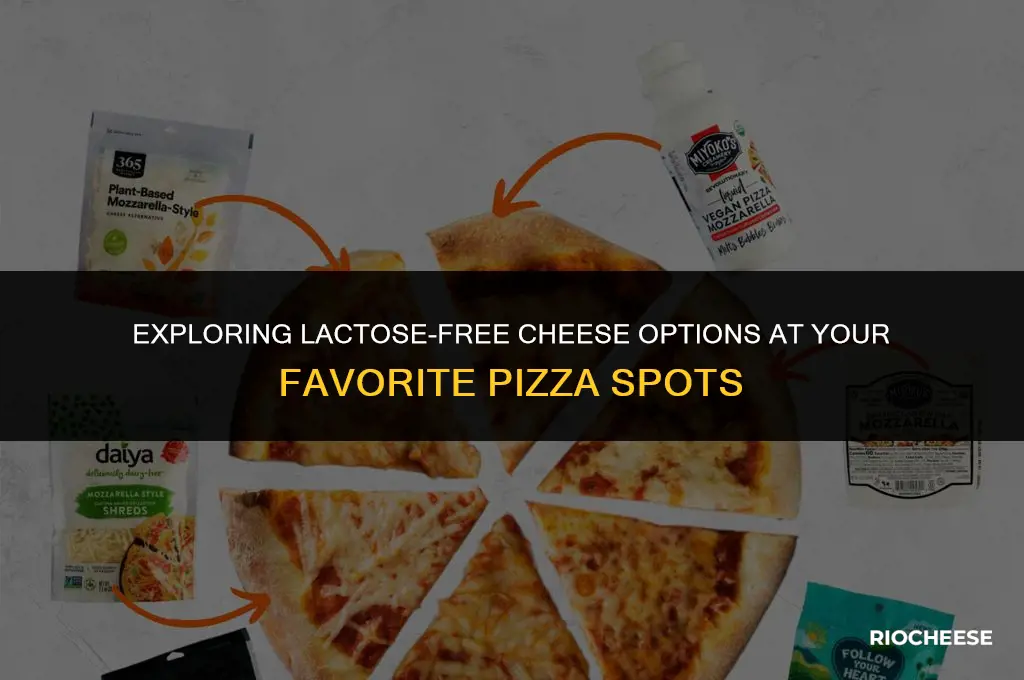 do any pizza places have lactose free cheese