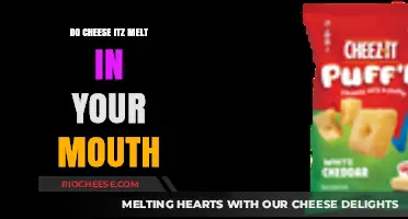 The Irresistible Melt: Exploring the Creamy Delight of Cheese Itz