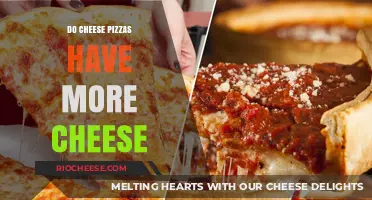 The Cheesy Debate: Do Cheese Pizzas Really Have More Cheese?