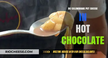 Colombian Comfort: The Surprising Delight of Cheese in Hot Chocolate