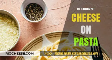 Exploring Italian Cuisine: The Cheesy Truth About Pasta Dishes