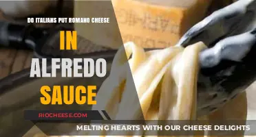 Exploring Italian Cuisine: Romano Cheese's Role in Authentic Alfredo Sauce