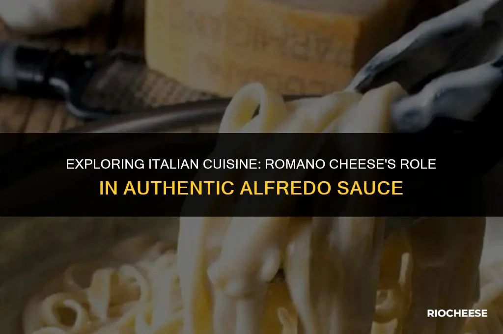 do italians put romano cheese in alfredo sauce