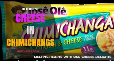 Exploring the Cheesy Controversy: Do Chimichangas Really Need Cheese?