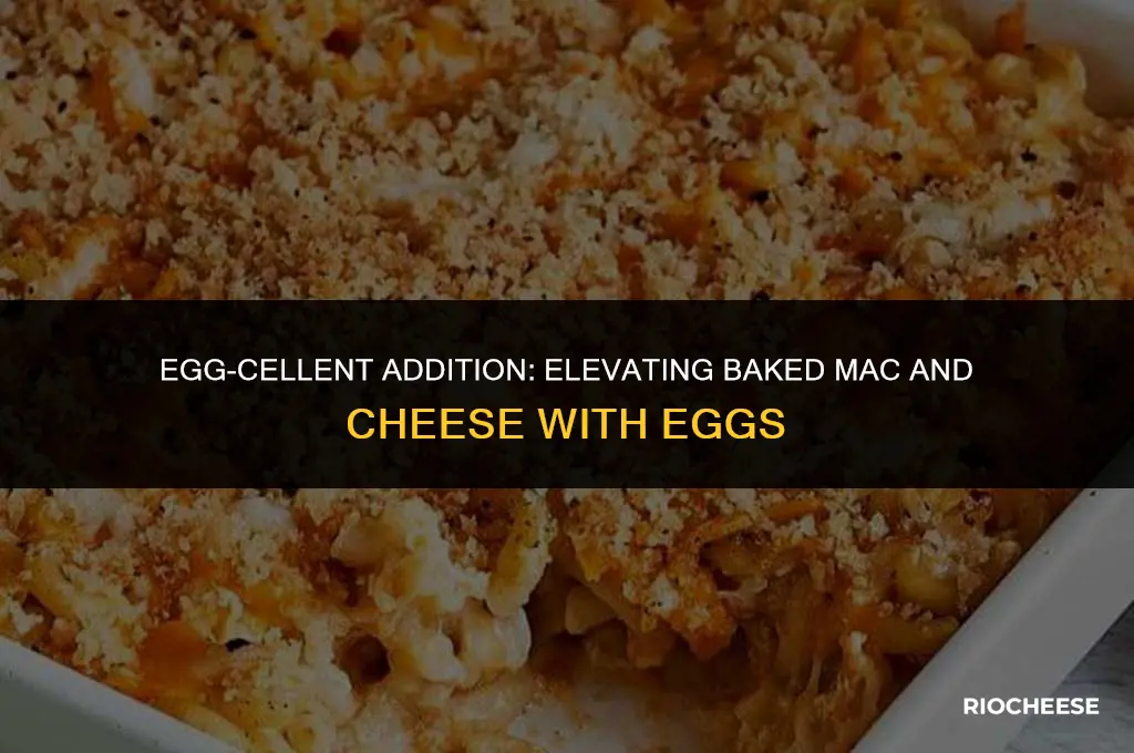 do you put eggs in baked macaroni and cheese