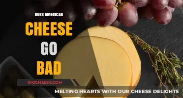 The Shelf Life of American Cheese: Does It Go Bad?