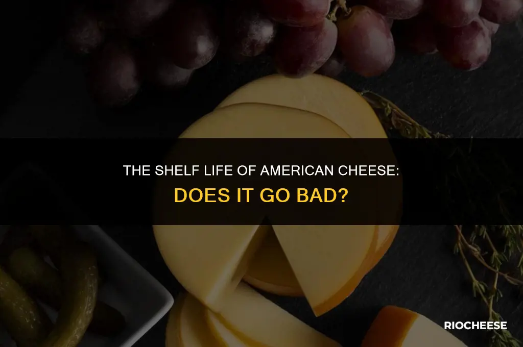 does american cheese go bad