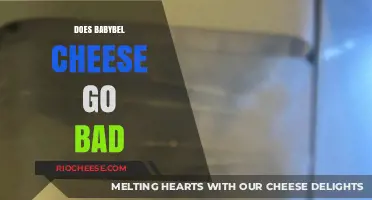 The Shelf Life Saga: Does Babybel Cheese Go Bad?