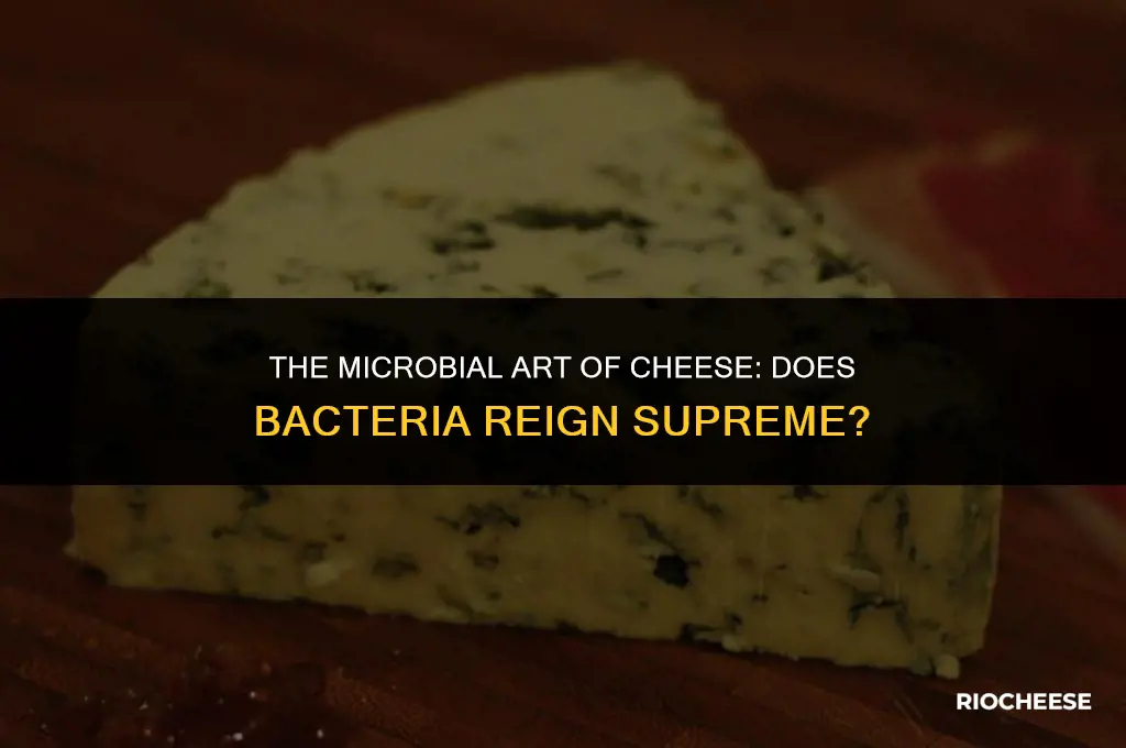 does bacteria grow best cheese