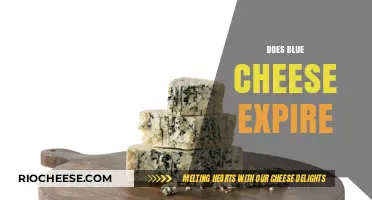 The Shelf Life of Blue Cheese: Does It Really Expire?