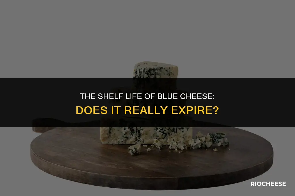 does blue cheese expire