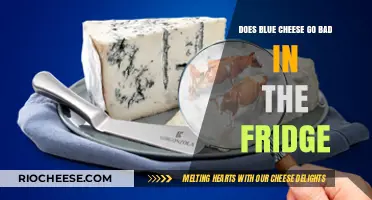 The Shelf Life of Blue Cheese: Refrigeration Essentials
