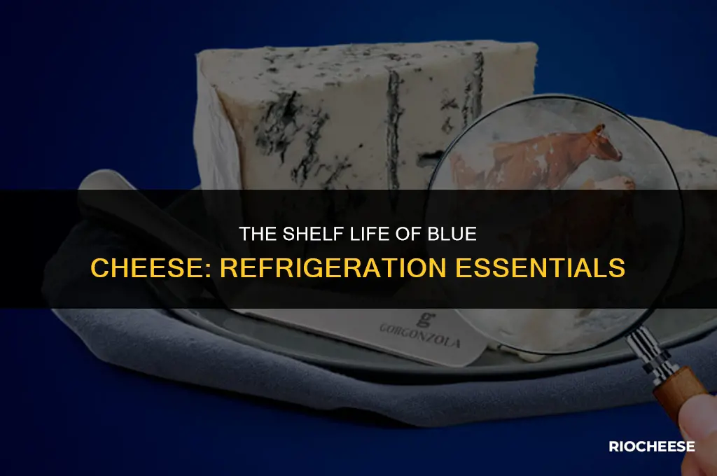does blue cheese go bad in the fridge
