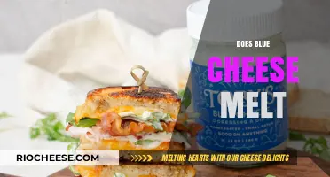 The Melting Enigma: Unraveling the Mystery of Blue Cheese