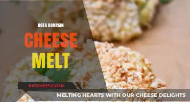 The Melting Mystery: Unveiling Boursin Cheese's Perfect Melt
