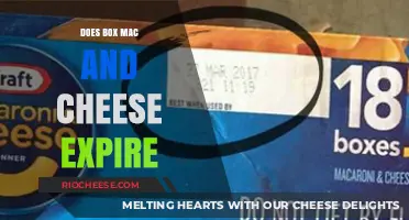 The Shelf Life of Box Mac and Cheese: Does It Expire?