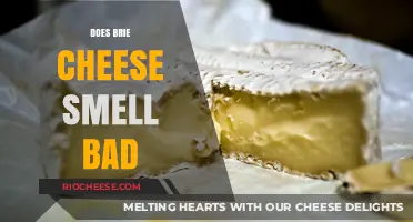 The Truth About Brie: Does This Creamy Cheese Really Smell Bad?