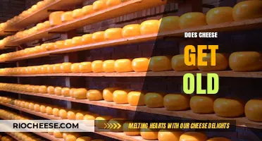 The Aging Process of Cheese: Facts, Myths, and Storage Tips