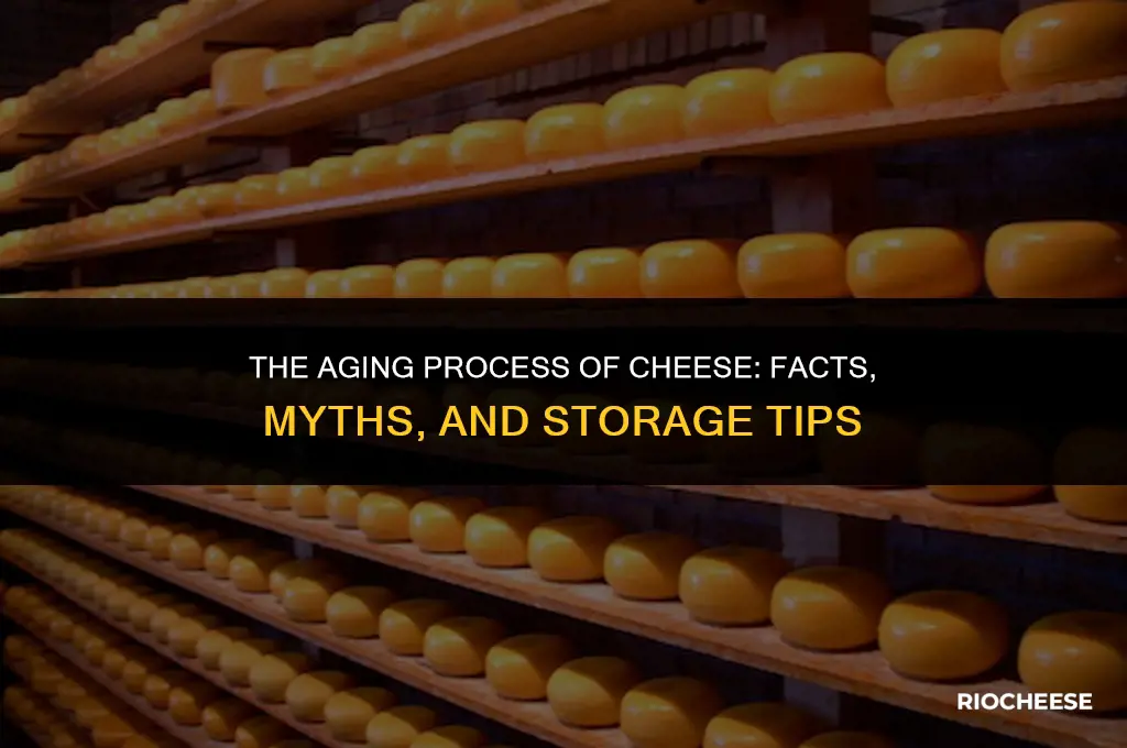 does cheese get old