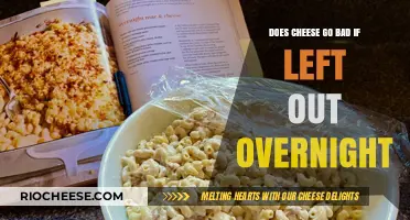 The Great Cheese Debate: Overnight Survival Guide