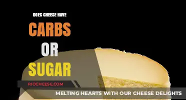 The Nutritional Lowdown: Carbs and Sugar in Cheese Explained