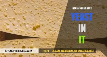 Unraveling the Mystery: Is Yeast Lurking in Your Cheese?