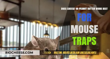 The Great Mouse Trap Debate: Cheese vs. Peanut Butter