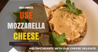 The Cheesy Truth: Mozzarella's Role in Chipotle's Menu