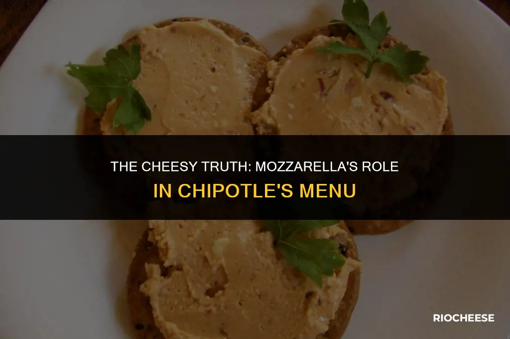 does chipotle use mozzarella cheese