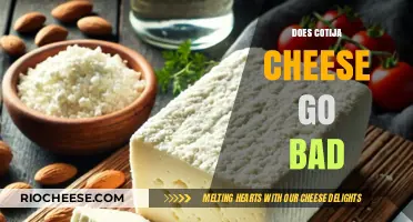 The Shelf Life of Cotija Cheese: Does It Go Bad?