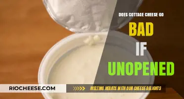 The Shelf Life of Unopened Cottage Cheese: Facts and Myths
