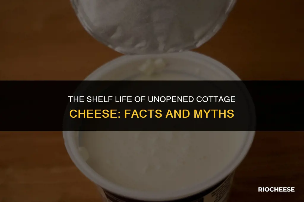 does cottage cheese go bad if unopened