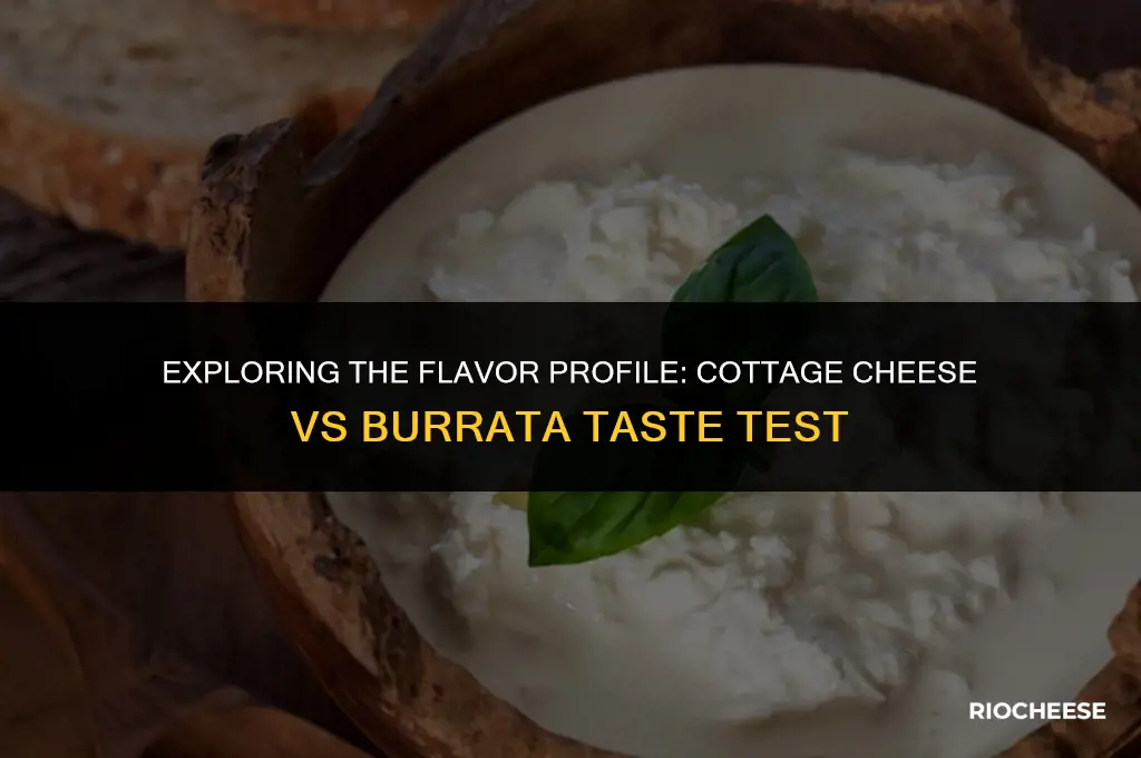 does cottage cheese taste like burrata