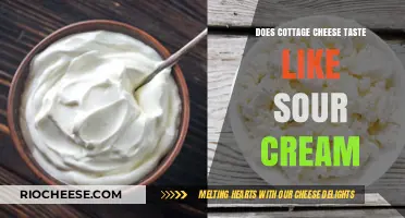 Exploring Dairy Delights: Cottage Cheese vs. Sour Cream Taste Test